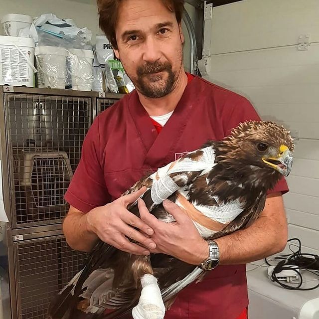 clinica veterinaria passerini, specializzati nella cura di uccelli
