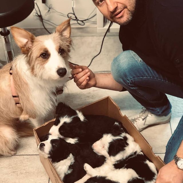 Andrea Passerini veterinario Morbegno Cuccioli Cani