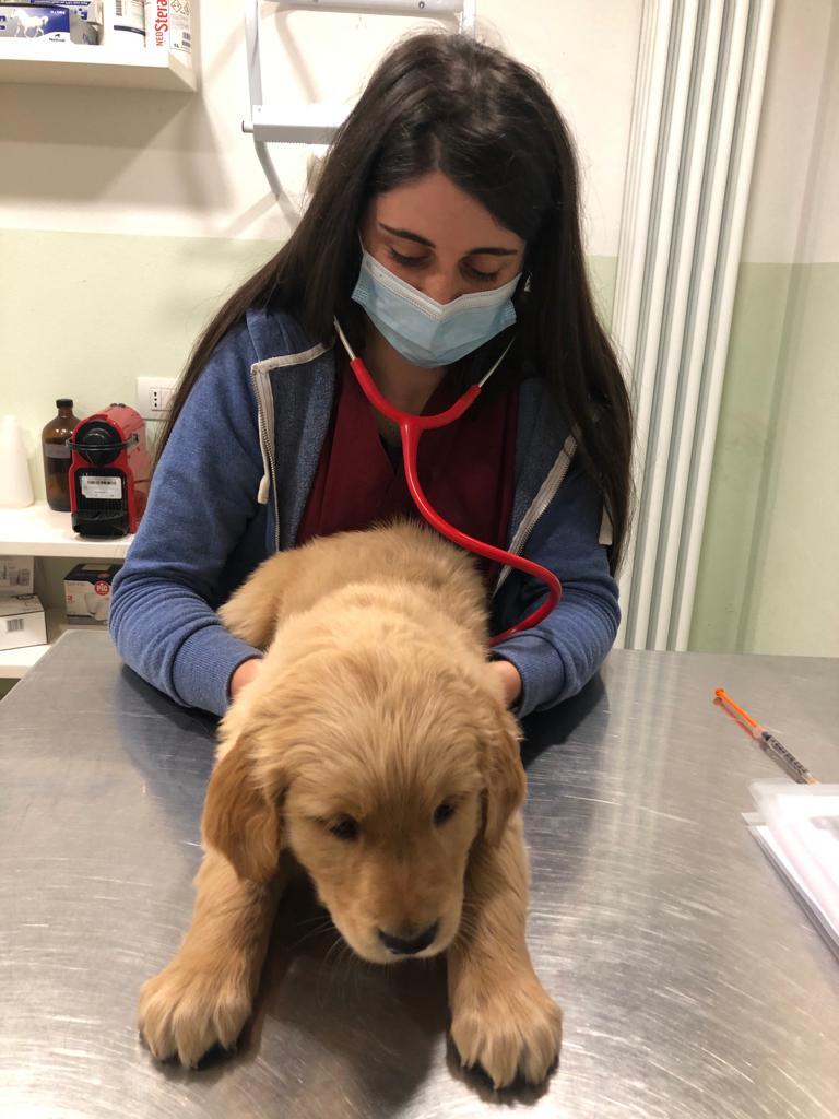 Chiara Raffa Veterinario