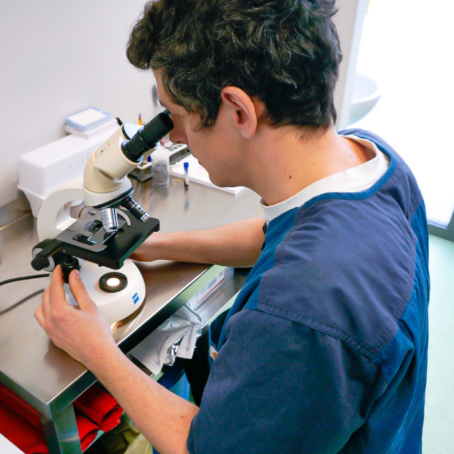 Lab laboratorio analisi microscopio emocromo biochimici