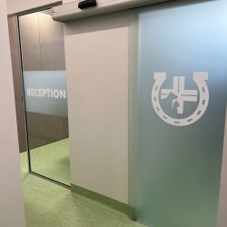 PROGETTI VETERINARI CLINCA PORTA